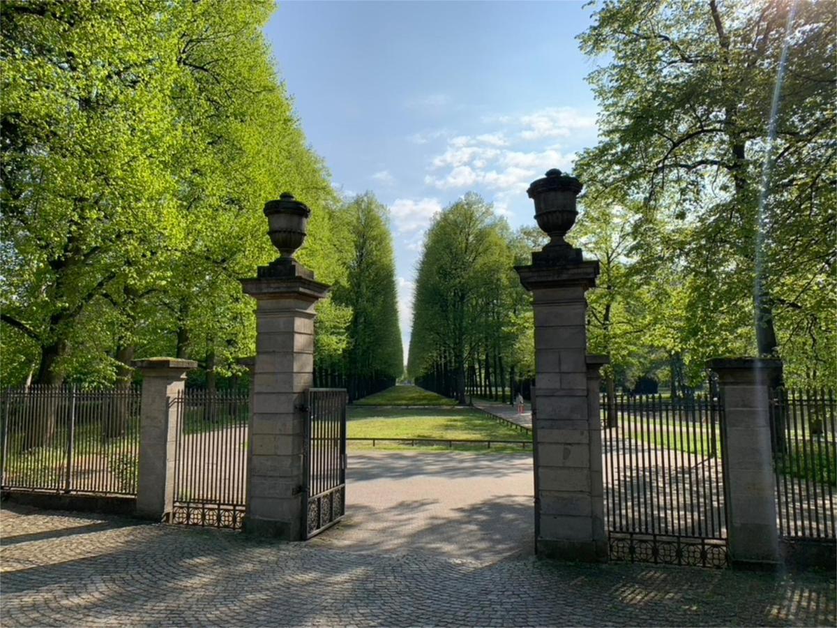 Ferienwohnung Am Suedwall All Inclusive Celle Eksteriør billede